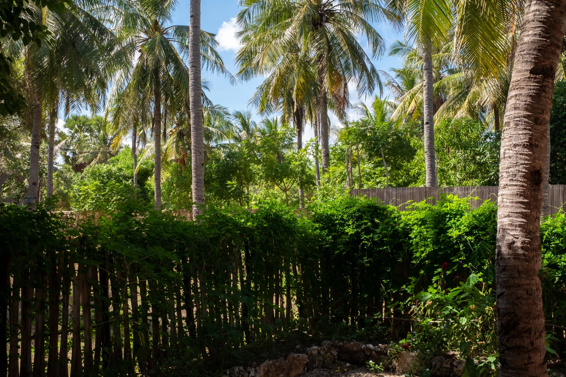 Bungalow Four, image 8