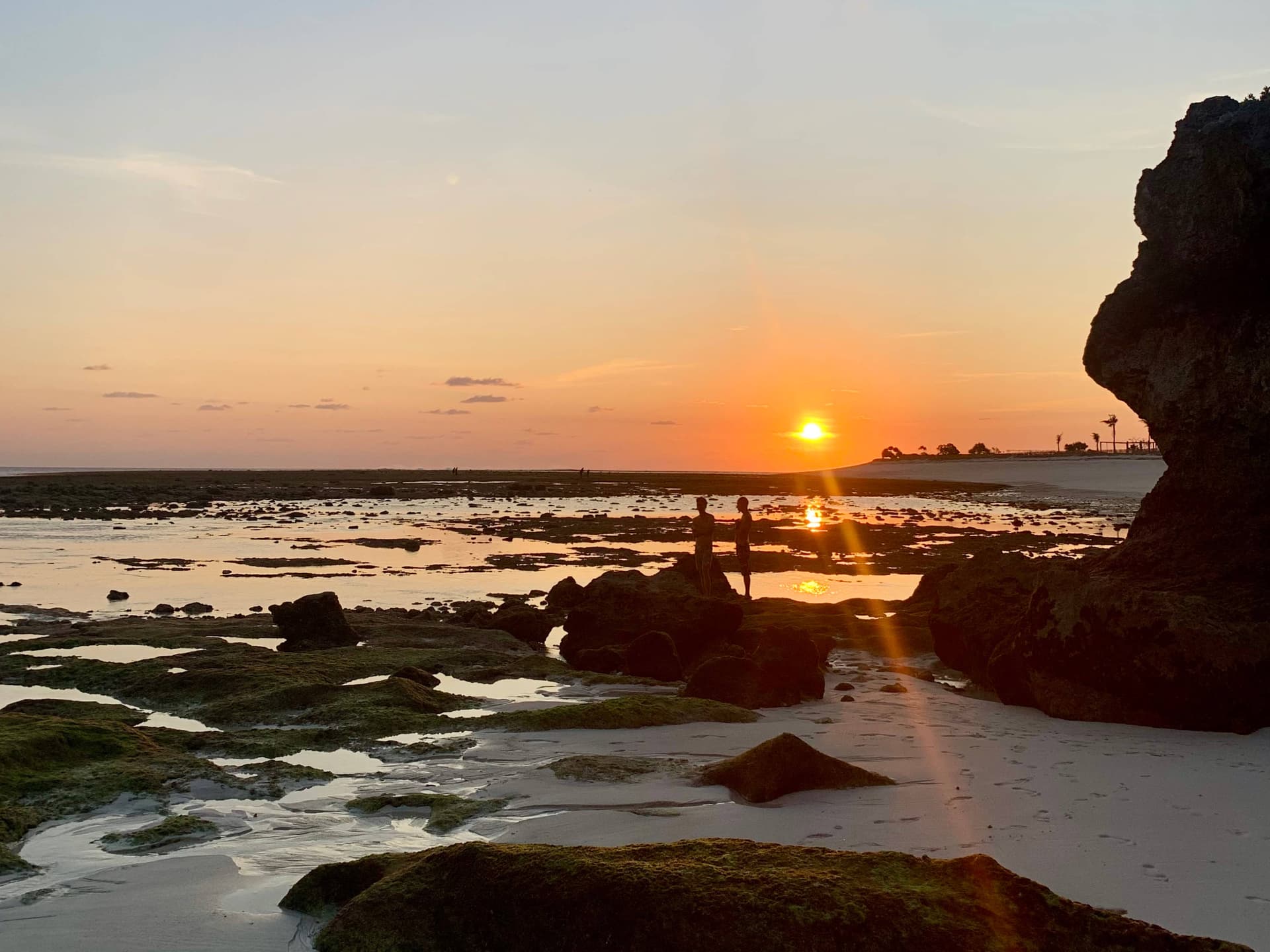 Sunset & tidepool walks