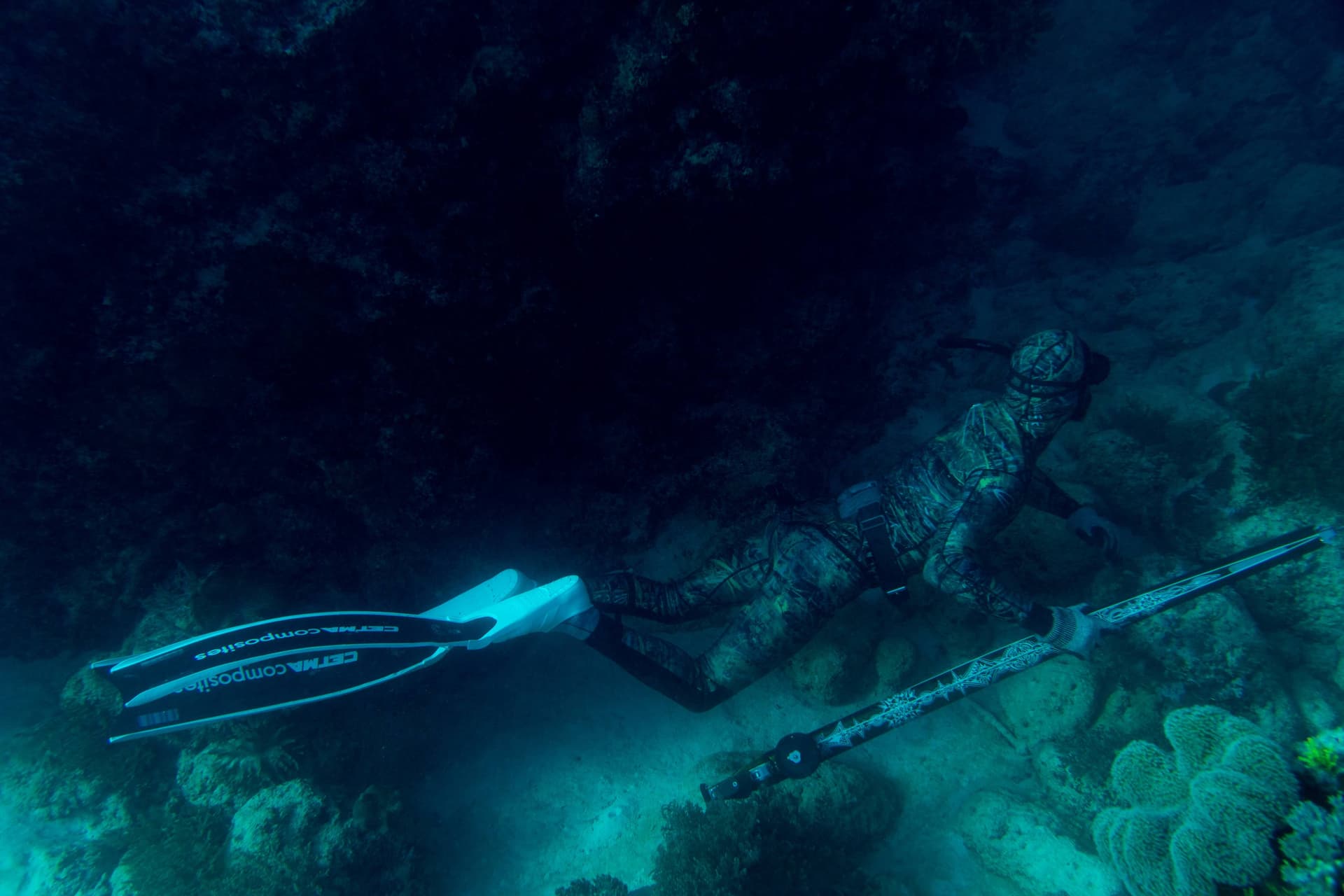 Spearfishing & freediving