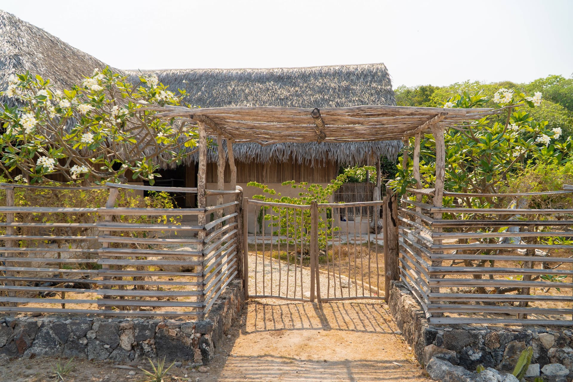 Ume Ode, image 15